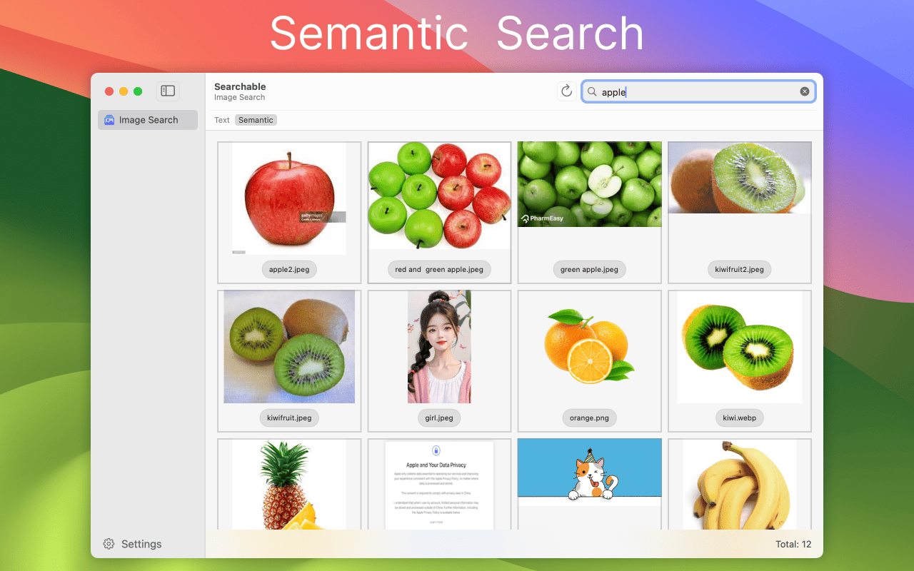 SemanticSearch